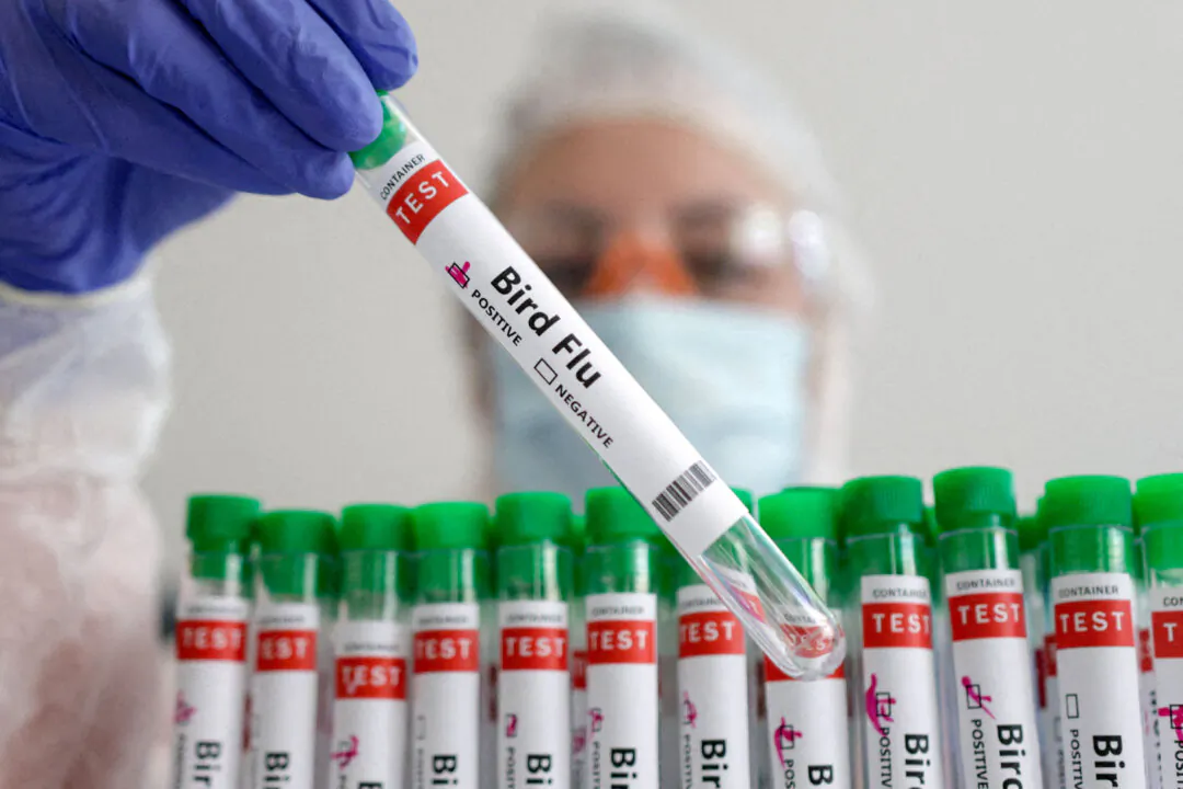 A person holds a test tube labeled "Bird Flu," in this picture illustration, on Jan. 14, 2023. (Dado Ruvic/Reuters)