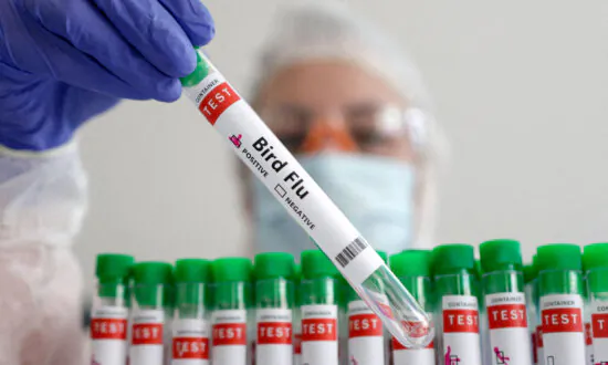 California Child Recovers After Possible Bird Flu Detection