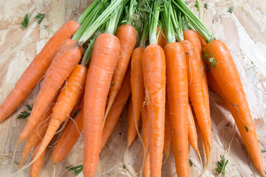 Organic carrots are being recalled in Canada and the U.S. after being linked to an E. COli outbreak. (Shutterstock)  