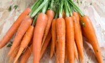 Dozens Sickened and 1 Person Died After Eating Carrots Contaminated With E. Coli