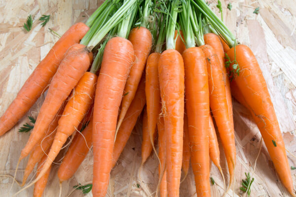 Carrot E. Coli Infections Reported in 18 States