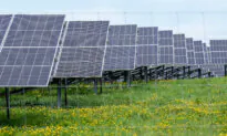 UK Solar Push Sparks Concerns Over China Reliance and Labour Practices