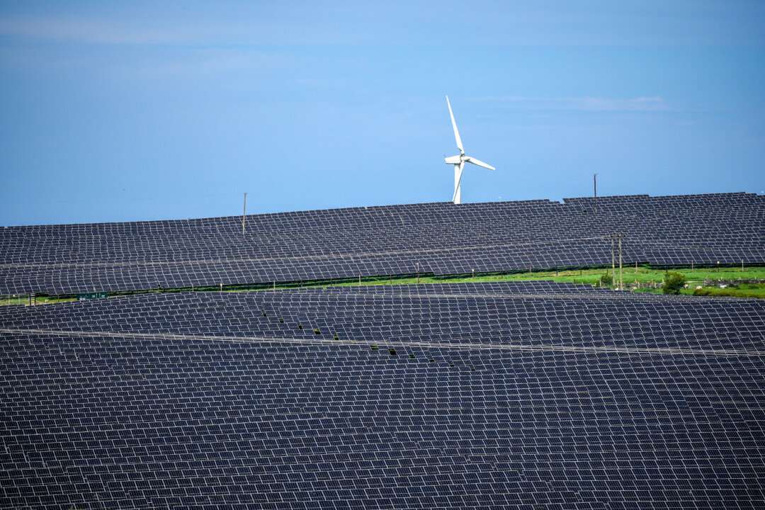 Forced to Fight for Our Livelihoods: Queensland Farmers Protest Solar ...