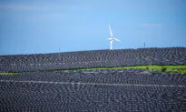 Forced to Fight for Our Livelihoods: Queensland Farmers Protest Solar Farm at Inquiry