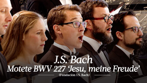 J.S. Bach: Motete BWV 227 'Jesu, meine Freude' | J.S. Bach Foundation