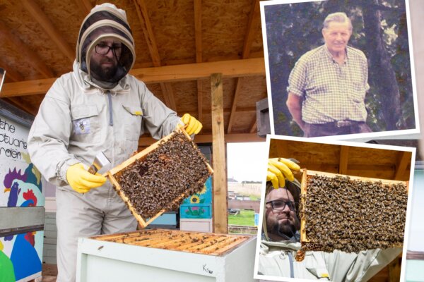 Beekeeper Finds Late Grandpa's Long-Lost Hives Are Still Alive, Creates a Honey Firm