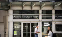 Judge Blocks NIH From Cutting Funding to Administrative Costs for Research