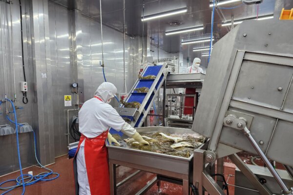 Epoch Times Photo