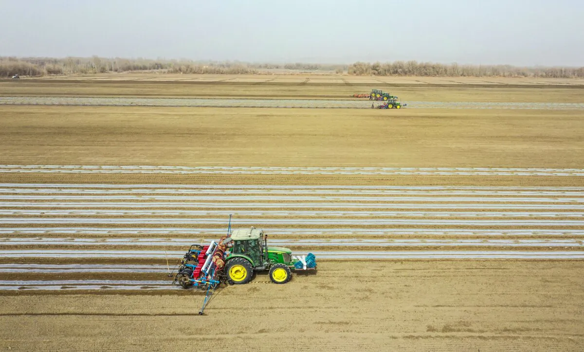 A seeder working a cotton field in Tumushuke, Xinjiang region, China, in this aerial photo taken on March 24, 2021. (STR/CNS/AFP via Getty Images)