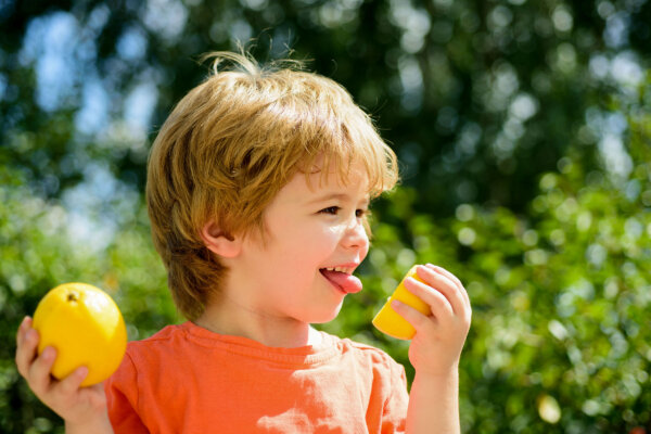 Citrus Fruits Increase Gut Bacteria That May Lower Depression Risk: Study