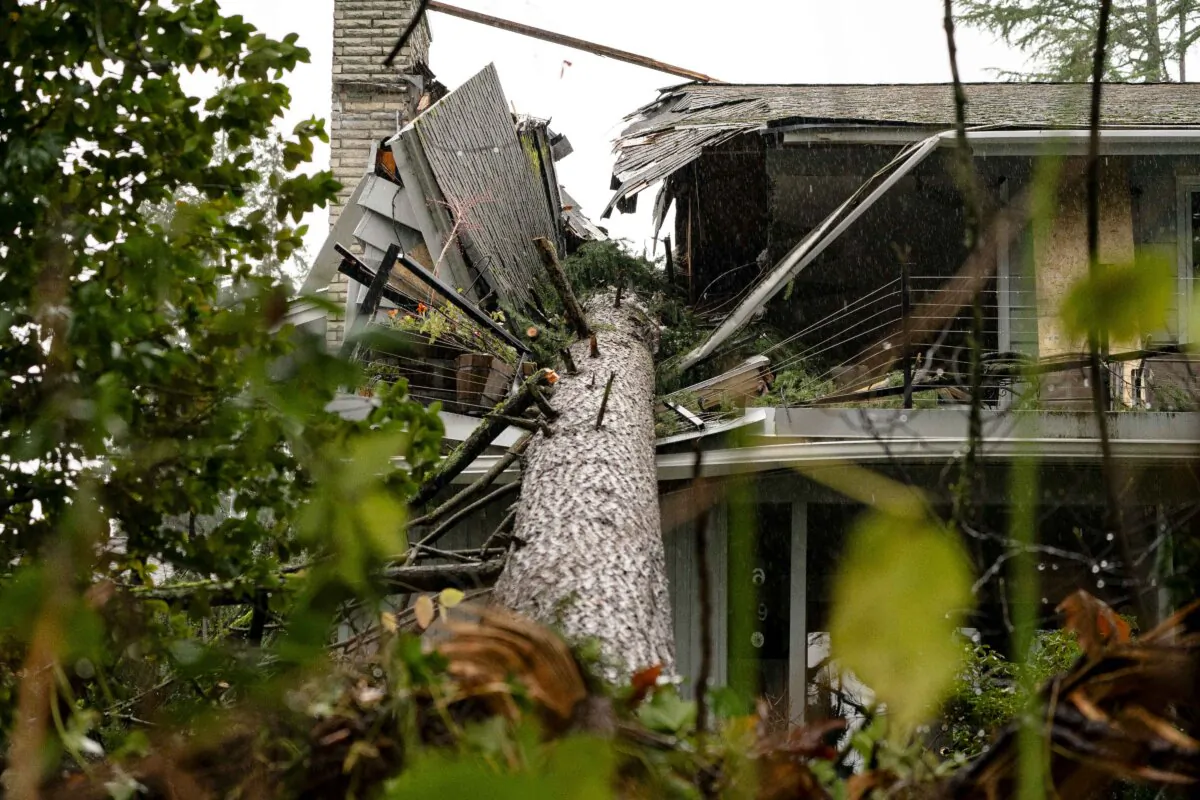A fallen tree rests on a home in Bellevue, Washington, on Nov. 22, 2024. (David Ryder/Getty Images)
