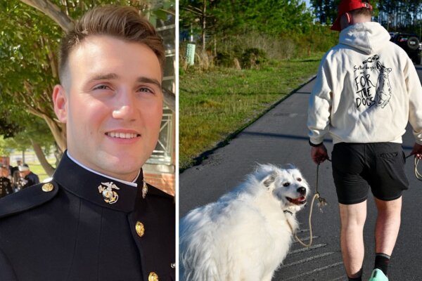 VIDEO: Marine Goes Running With Shelter Dogs to Help Them Get Adopted—'It's Incredibly Rewarding'