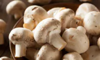 White Button Mushrooms May Help the Body Fight Cancer