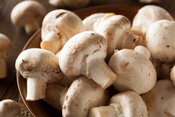 White Button Mushrooms May Help the Body Fight Cancer