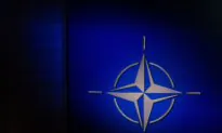Montreal Anti-NATO Protest Transformed Into Violence and Hatred