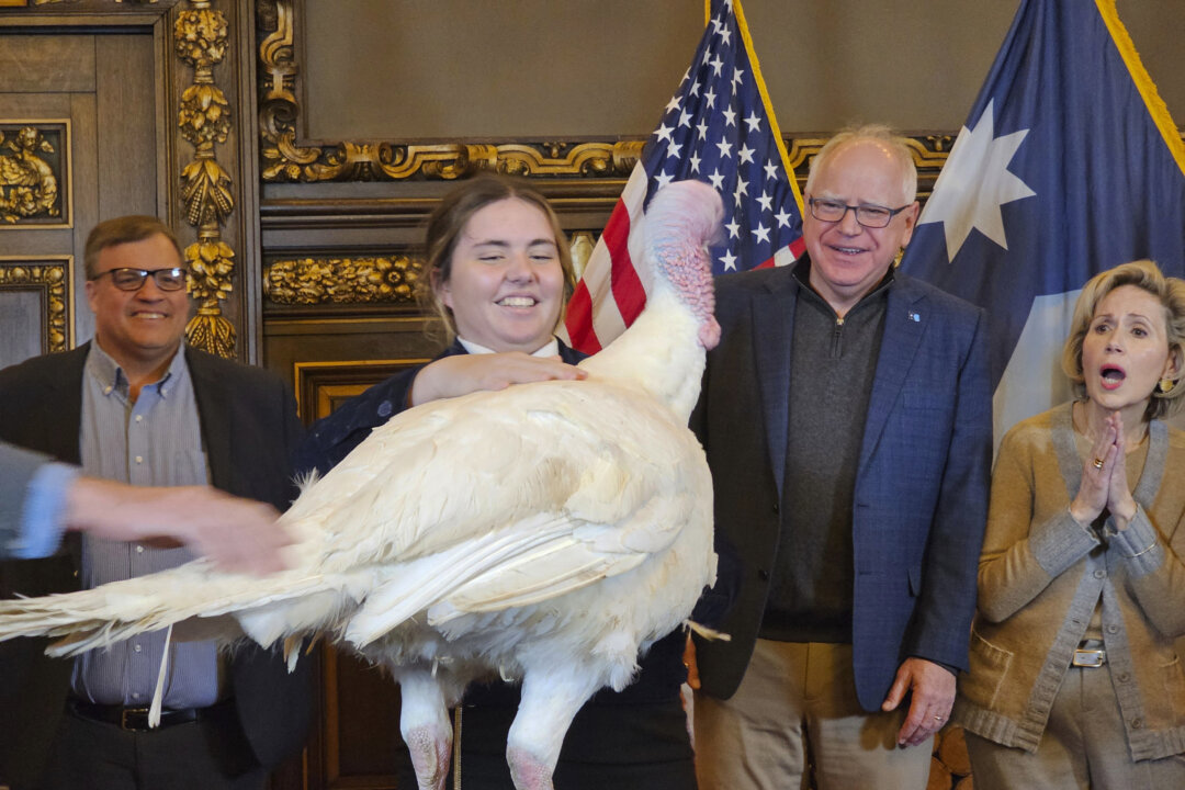 Tim Walz Accepts Turkey Presentation as He Eases Back Into His Duties as Minnesota’s Governor