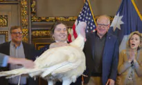 Tim Walz Accepts Turkey Presentation as He Eases Back Into His Duties as Minnesota’s Governor