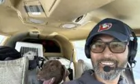 Animal-Rescue Pilot Killed in Plane Crash, 2 Dogs Aboard Are Recovering