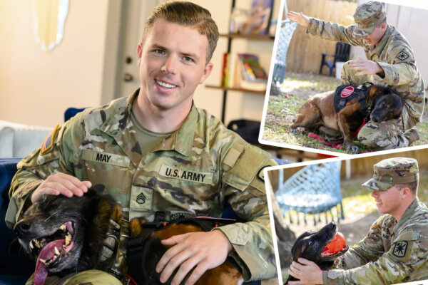 Retired Military Dog Reunited With His Handler After 2 Years Apart—Just in Time for Thanksgiving