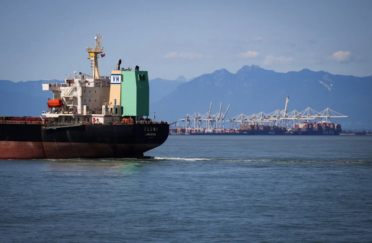 A container ship sails past gantry cranes in Tsawwassen, B.C., in a file photo. (The Canadian Press/Darryl Dyck)