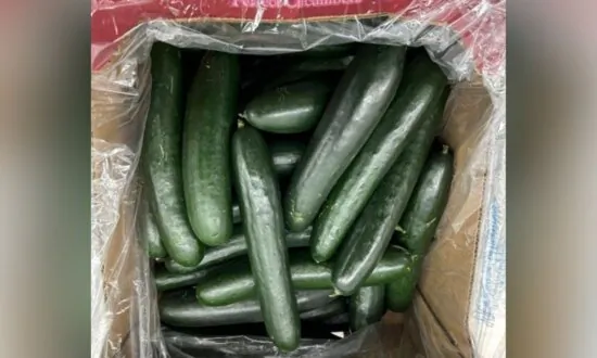 FDA Issues Recall Alert for SunFed Cucumbers Due to Salmonella Risk