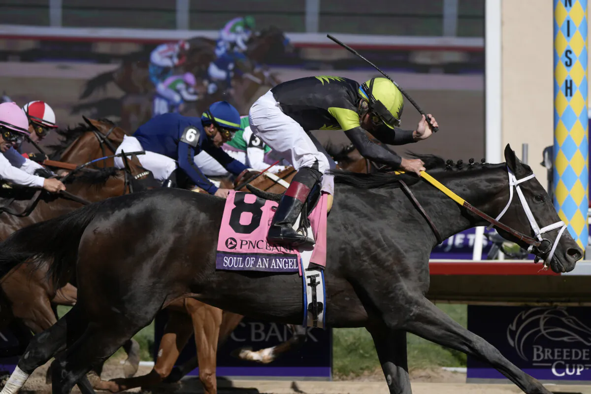 Drayden Van Dyke rides Soul Of An Angel (8) to victory in the Breeders' Cup Filly and Mare Sprint horse race in Del Mar, Calif., on Nov. 2, 2024. (Gregory Bull/AP Photo)