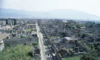 New DNA Evidence Rewrites Long-Told Stories of People in Ancient Pompeii