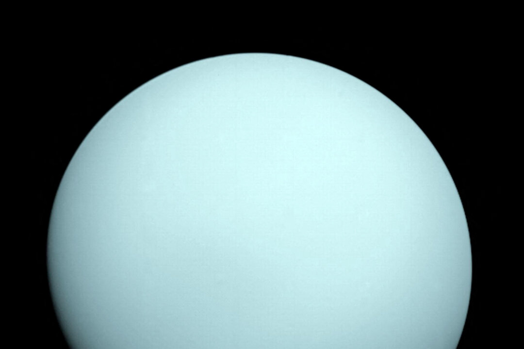 Scientists Say Fresh Look at Old Data May Have Solved Uranus Mystery