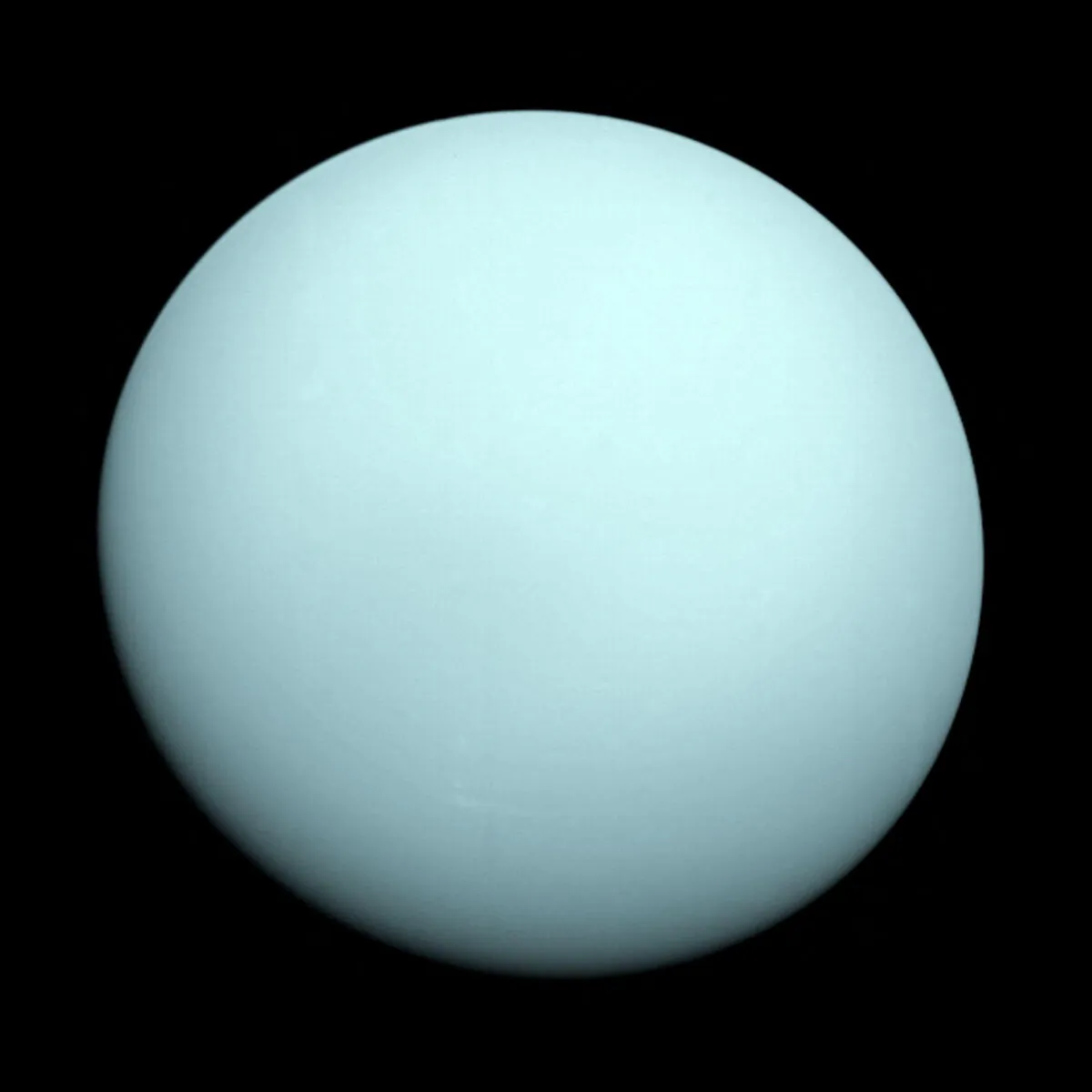 An image of the planet Uranus taken by the NASA spacecraft Voyager 2 in 1986. (NASA/JPL/Reuters)