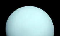 Scientists Say Fresh Look at Old Data May Have Solved Uranus Mystery