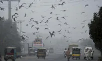 Pakistani Province Declares Health Emergency Due to Smog and Locks Down 2 Cities