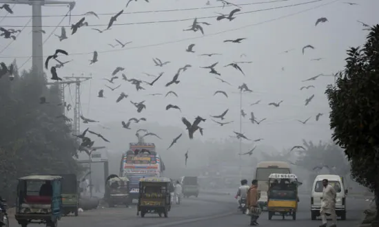 Pakistani Province Declares Health Emergency Due to Smog and Locks Down 2 Cities