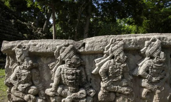 Archaeologists Discover 4,000-Year-Old Canals Used to Fish by Predecessors of Ancient Maya