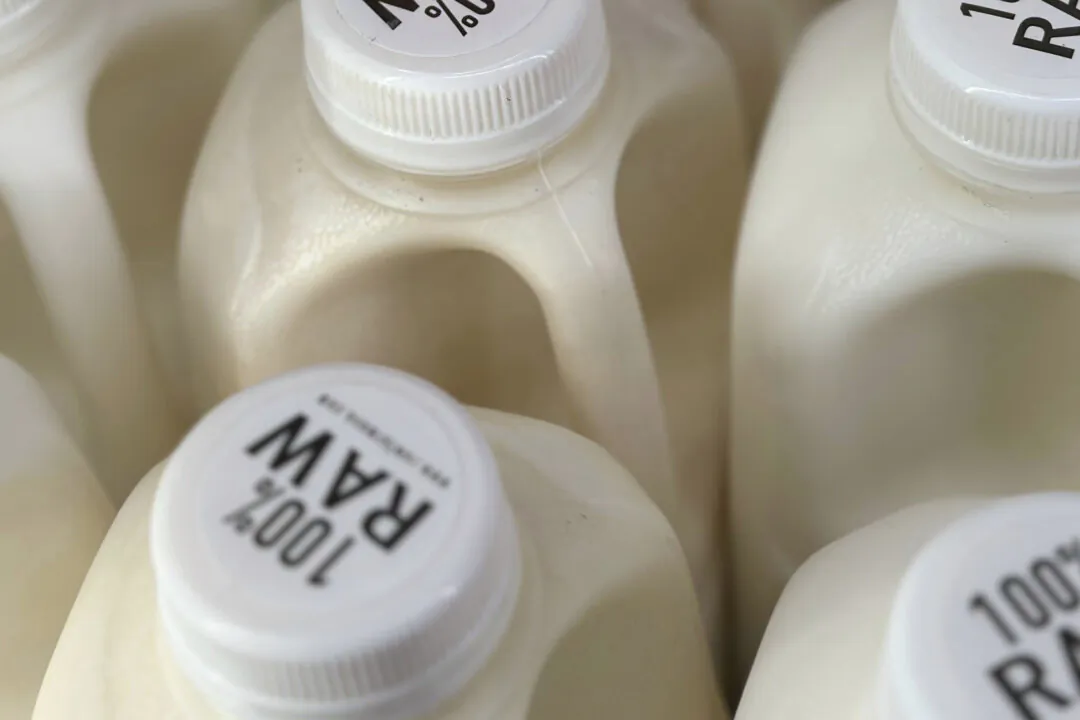 Bottles of raw milk are displayed for sale at a store in Temecula, Calif., on Wednesday, May 8, 2024.  (JoNel Aleccia/AP Photo)