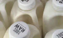 The Forgotten Medical History of Raw Milk