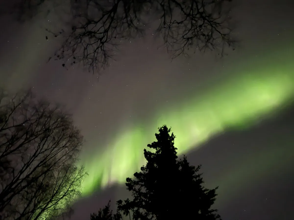 The northern lights appear over Anchorage, Alaska, early the morning of Oct. 11, 2024. (Mark Thiessen/AP Photo)