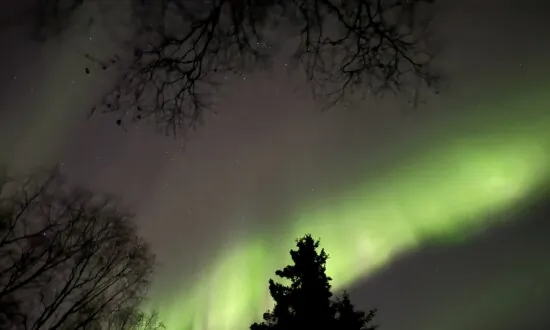 Northern Lights May Be Faintly Visible Across Parts of the US This Thanksgiving