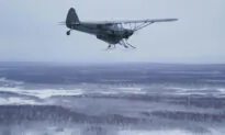 ‘It’s a Bird! It’s a Plane!’ in Alaska, It’s Both, With Pilot Tossing Turkeys to Rural Homes