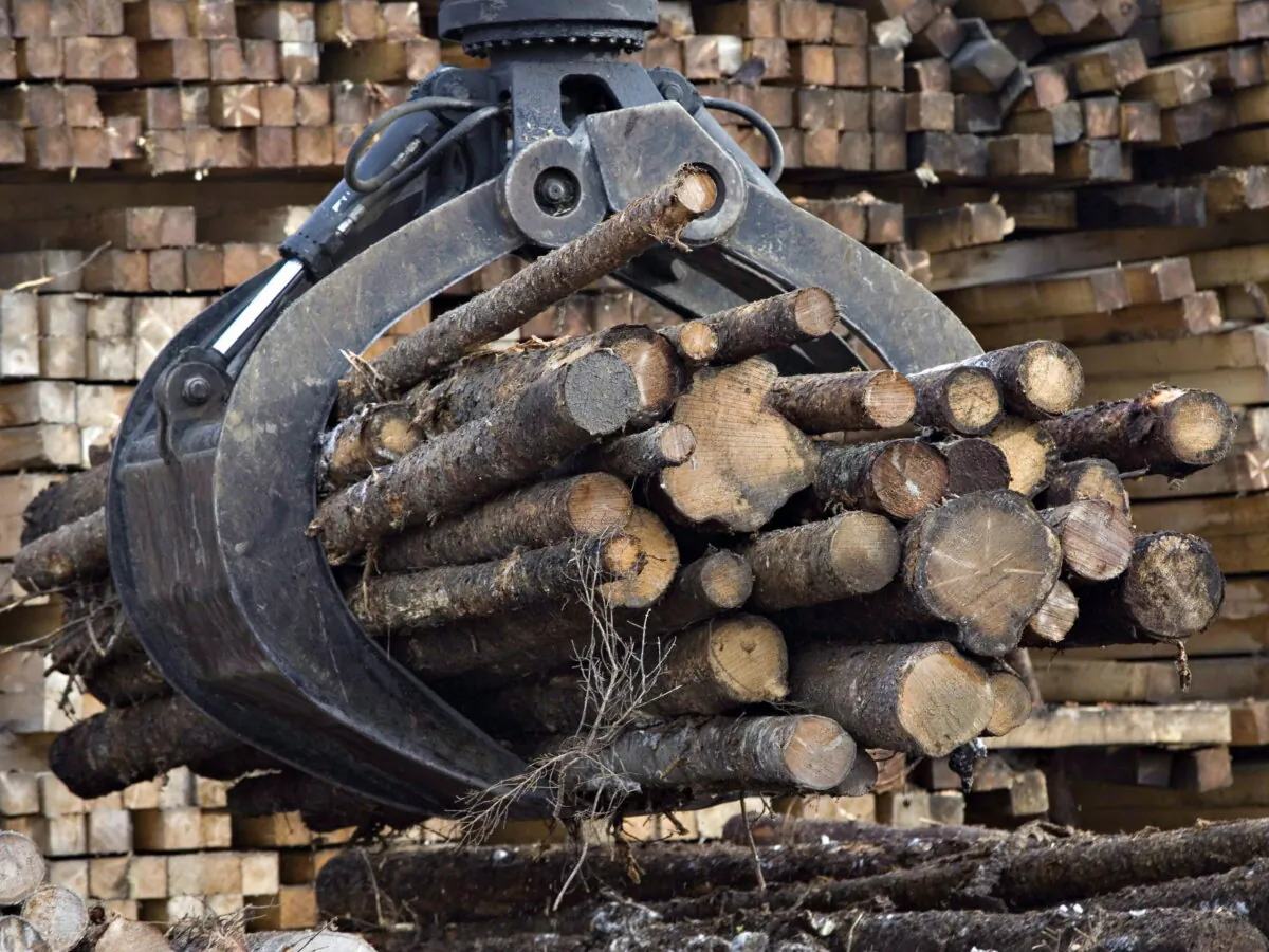 Logs are shown at a softwood lumber sawmill on Nov. 14, 2008 in Saguenay, Quebec. (The Canadian Press/Jacques Boissinot) 