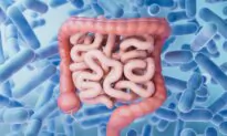 Short-Chain Fatty Acids Regulate Immunity, Protect the Brain, and Fight Inflammation
