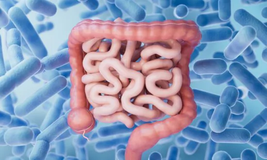 Short-Chain Fatty Acids Regulate Immunity, Protect the Brain, and Fight Inflammation