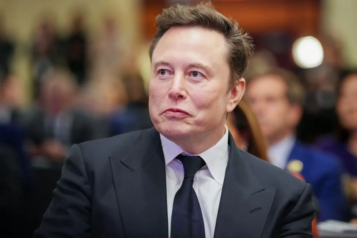 Elon Musk in Washington on Nov. 13, 2024. (Andrew Harnik/Getty Images)