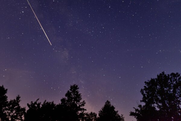 Look Up! The Skies Bid Farewell to 2024 With Three Meteor Showers in December