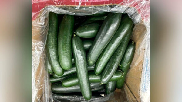 Cucumbers, Salads, Mustard Greens Recalled Across Country