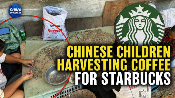 Report Finds Labor Violations in Starbucks's China Supply Chains