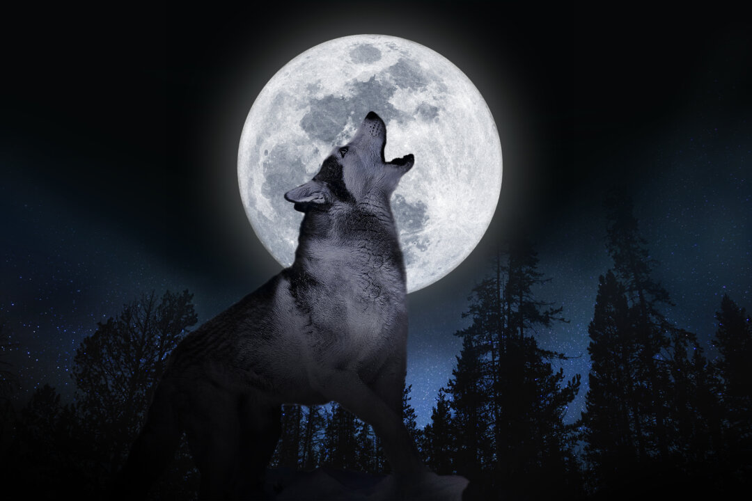 ‘Wolf Moon’ Will Be the First Full Moon of 2025—Here’s What to Know