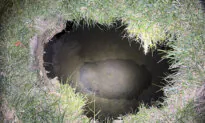 Search Extends Into the Night for Pennsylvania Woman Who May Have Fallen Into Sinkhole