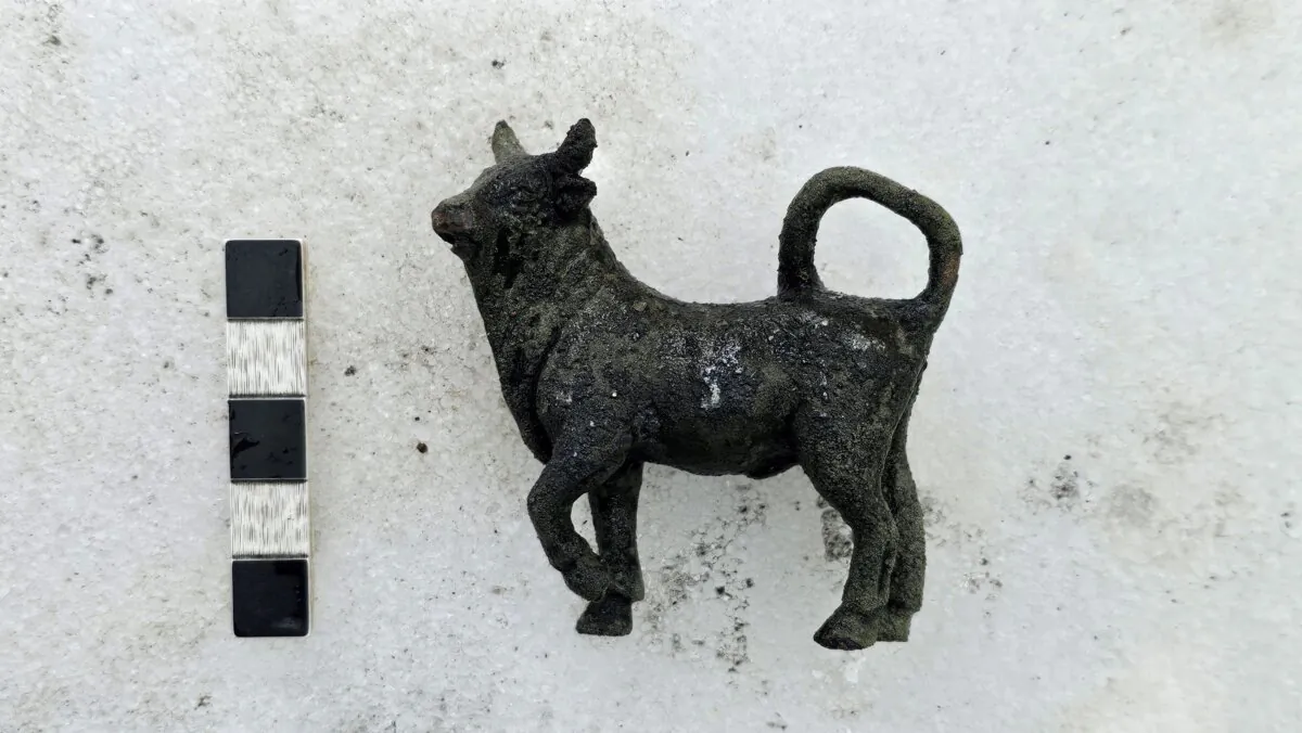 The so-called bull statuette is displayed after it was discovered from the ruins of an ancient spa in San Casciano dei Bagni in southern Tuscany in Grosseto, Italy, on Sept. 25, 2024. (Ministry of Cultural Heritage and Activities and Tourism/Handout via Reuters)
