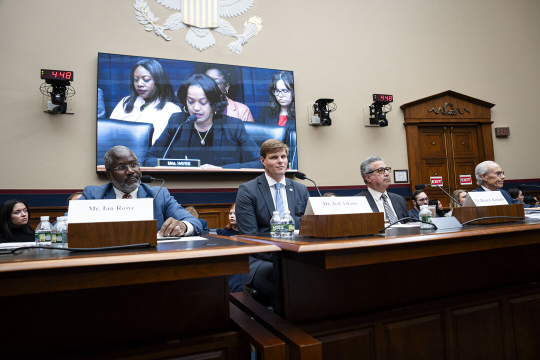 House Panel Critiques Critical Race Theory in Education