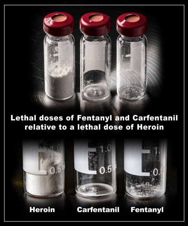 Carfentanil-lethal-dose